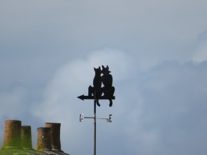 weather-vane-2678133_1920