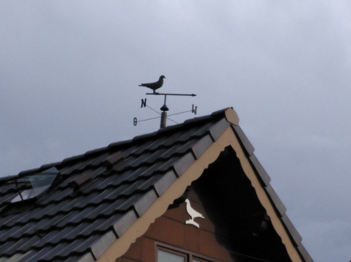 IMG_20190317_171106_115