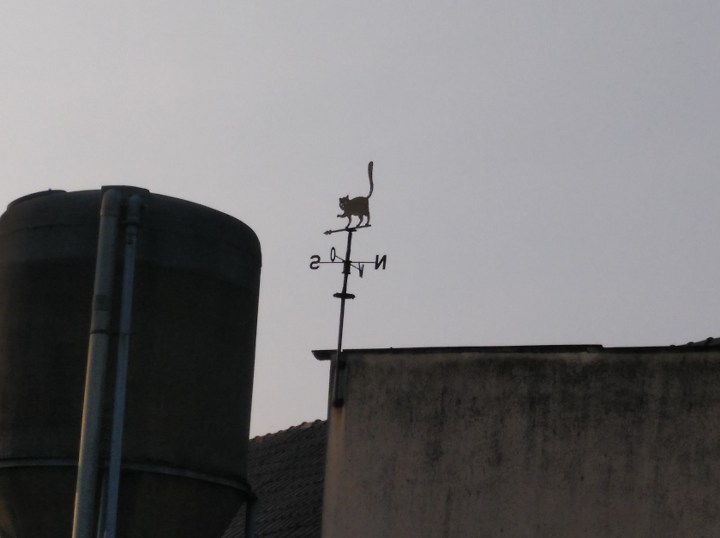 IMG_20190406_184440_149