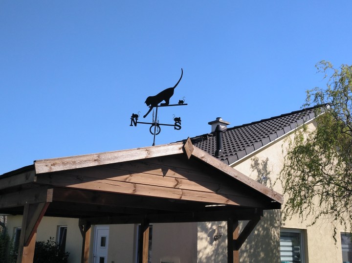 IMG_20190419_160343_689