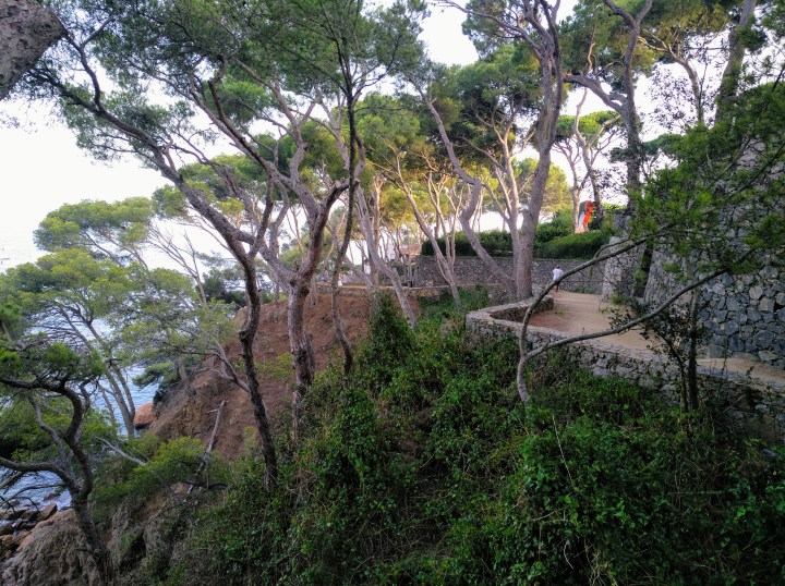 IMG_20190916_190707_776